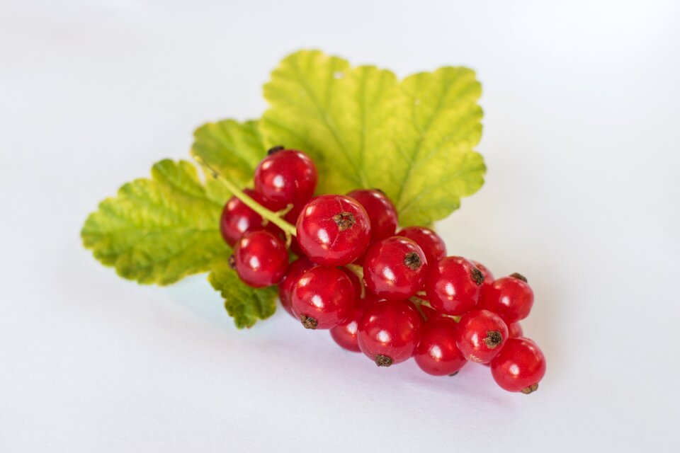 Fruits berries fruit