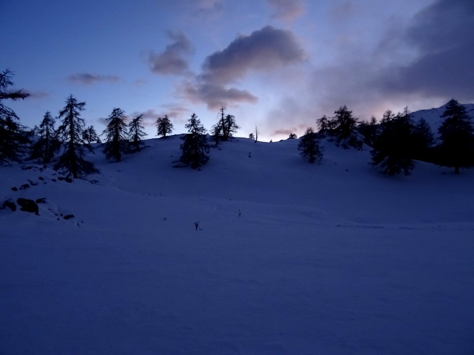 DSC03388 