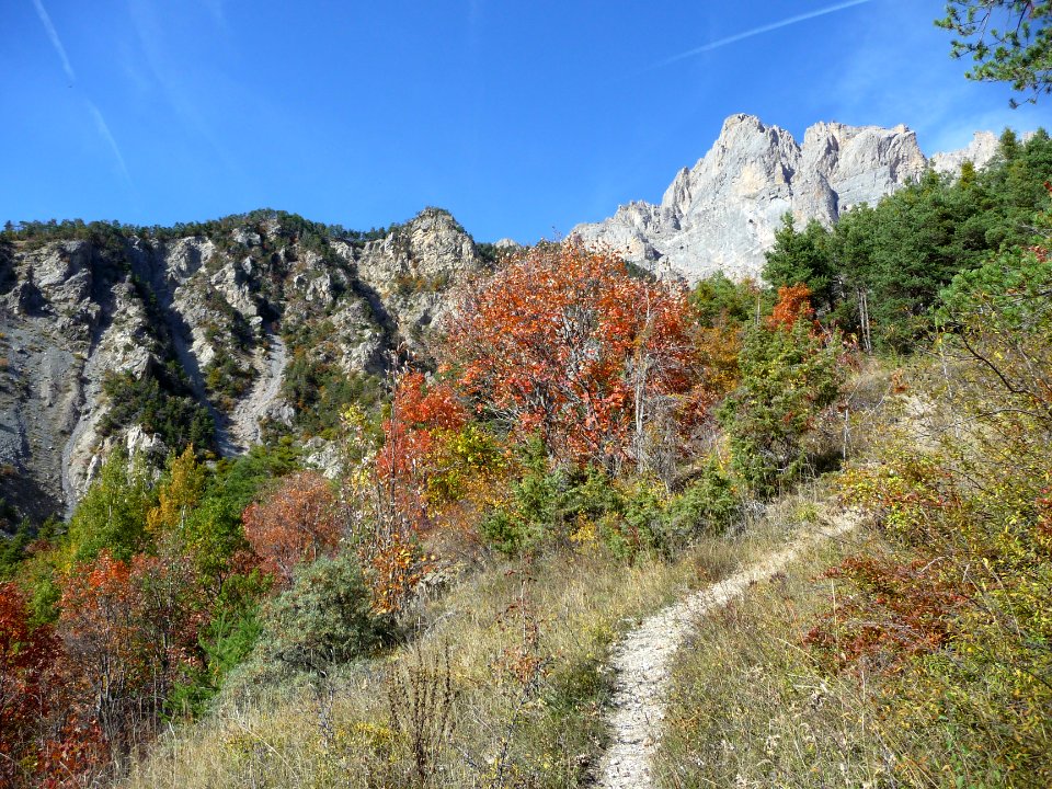 Le Montbrison et les couleurs de l'automne, au-dessus des … 