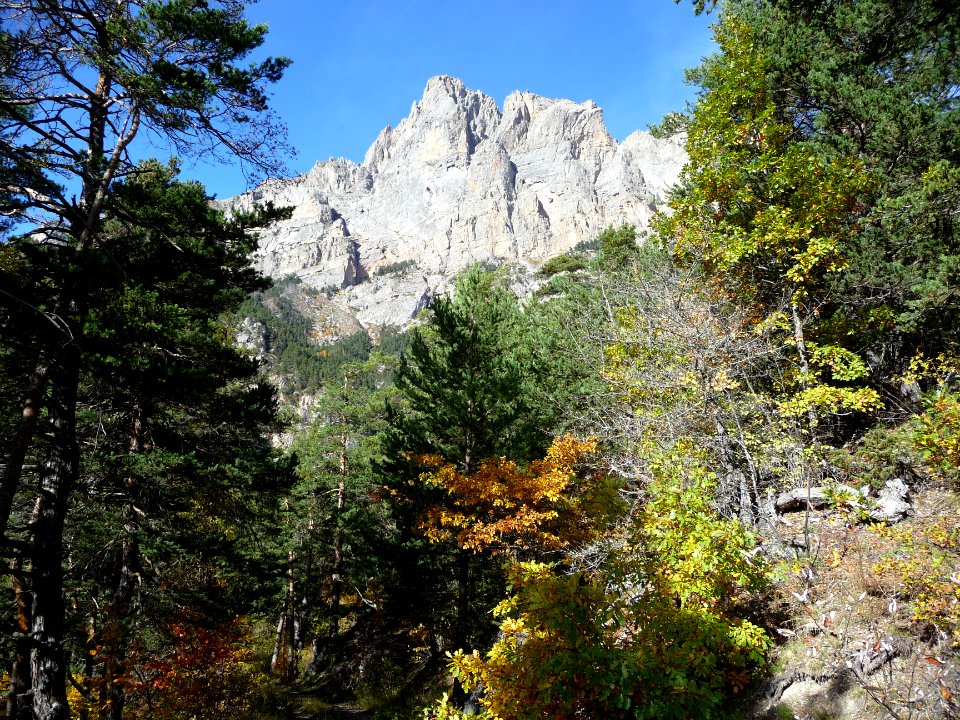 Le Montbrison et les couleurs de l'automne, au-dessus des … 