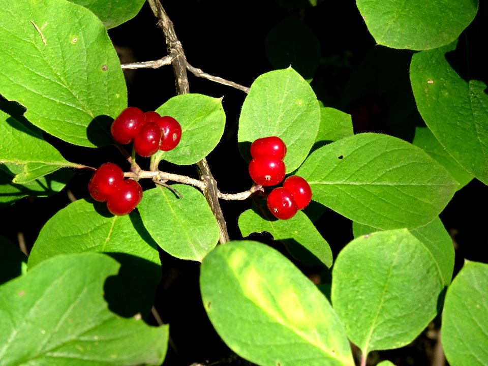 DSC00170 