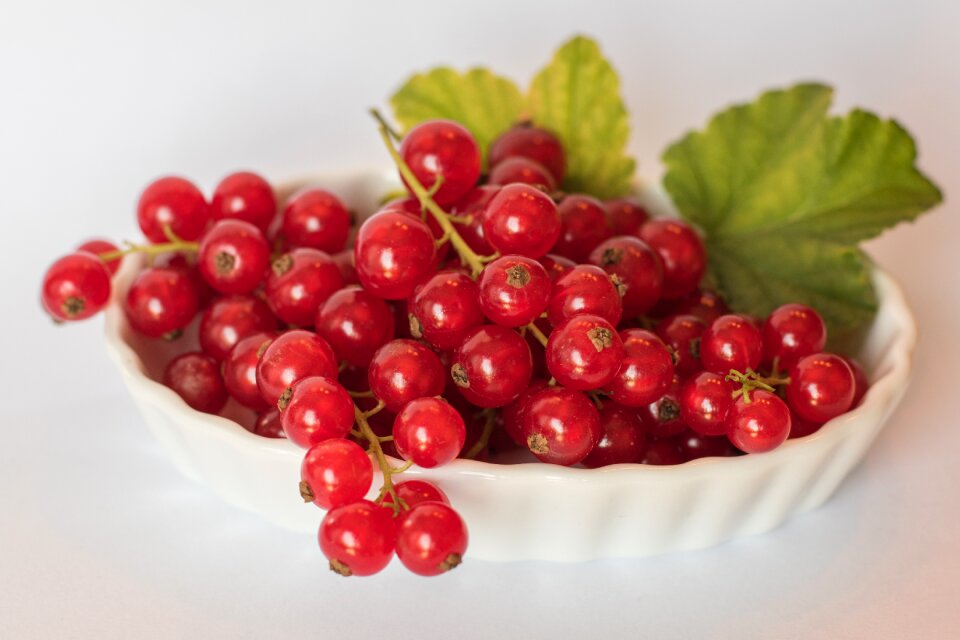 Fruits berries fruit