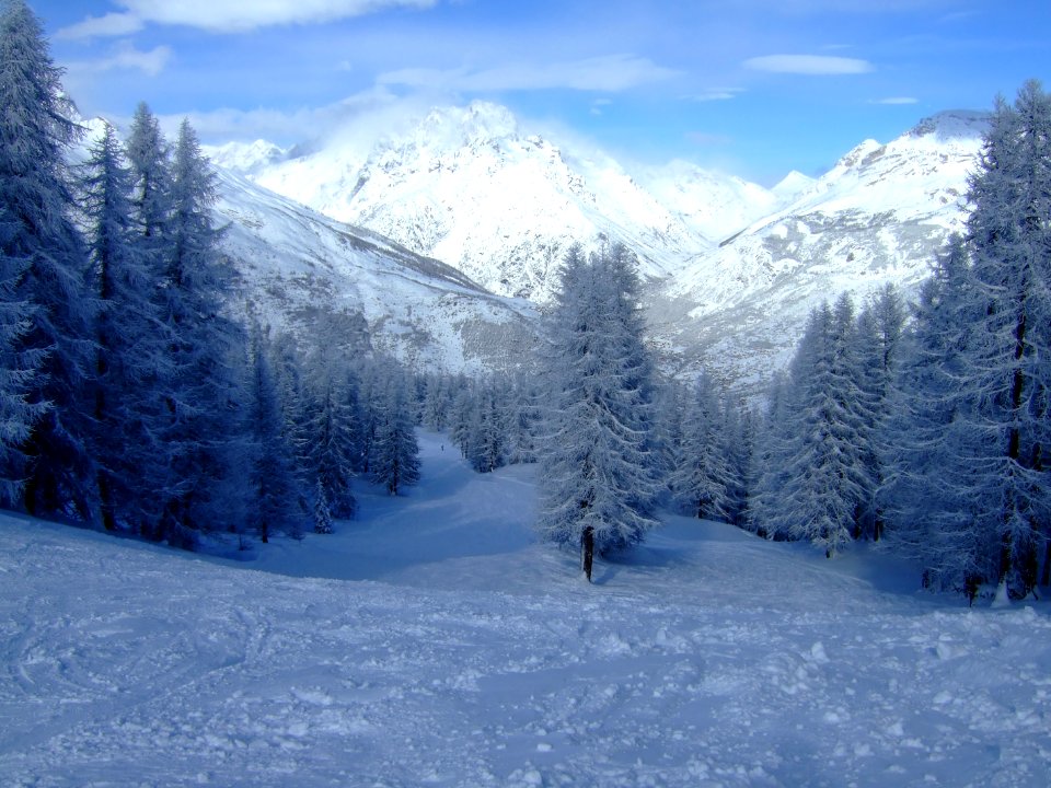 Après une grosse chute de neige, tout est blanc 