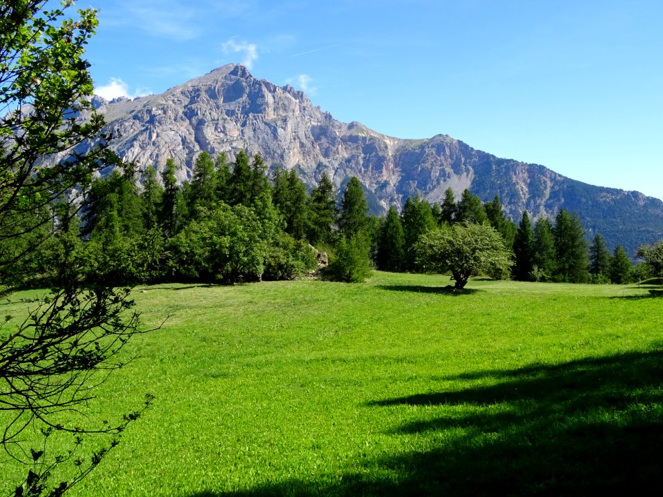 Le Montbrison depuis la prairie de Prey d' Amont 