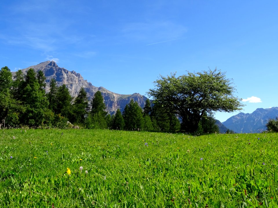 Le Montbrison depuis la prairie de Prey d' Amont 