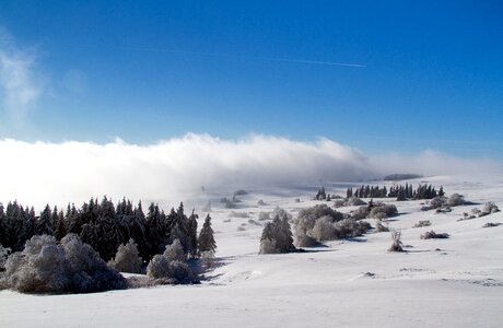 Hochrhoen wasserkuppe rhön winter