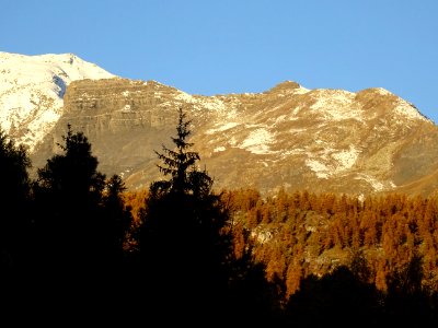 DSC06541 