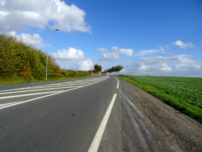 DSC00379 