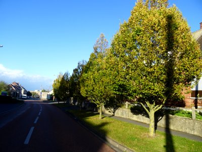 Entrée d'Arras, Pas-de-Calais 