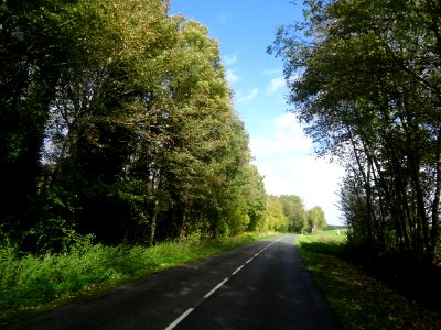 Entre Conty et Loeuilly, Somme 