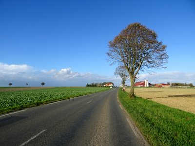 Petite route, qui file plein nord vers Arras, Pas-de-Calai… 