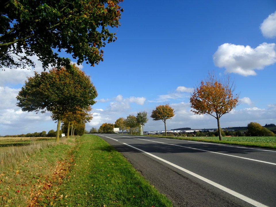 DSC00383 