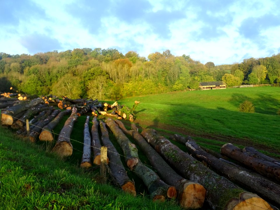 Grumes et prairies, Blainville-Crevon, Seine-Maritime 