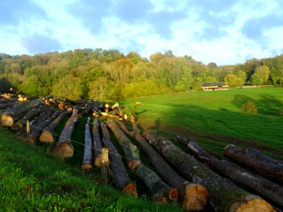 Grumes et prairies, Blainville-Crevon, Seine-Maritime 