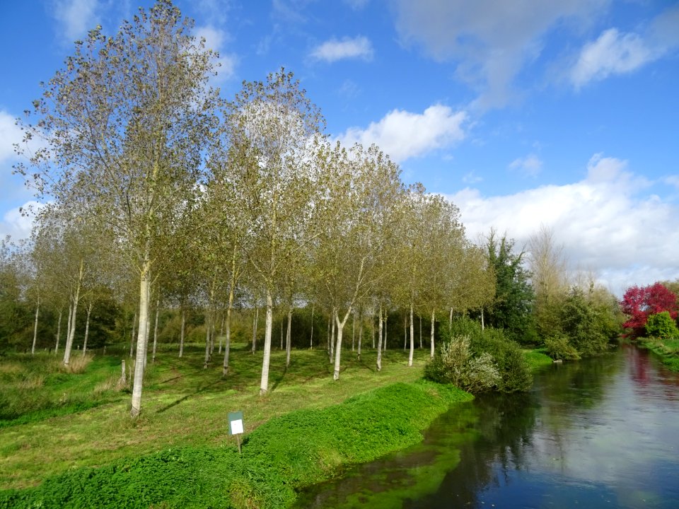 Rivière La Selle, Nampty, Somme 