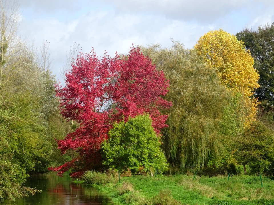 Rivière La Selle, Nampty, Somme 