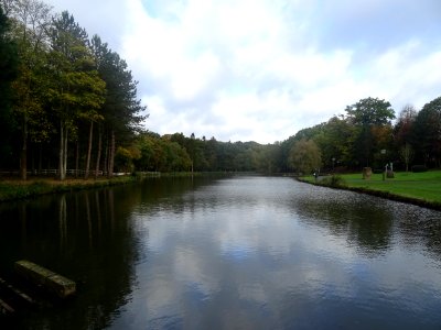 Etangs de l'Andelle, un pêcheur, Forge-les-Eaux, Seine-Mar… 