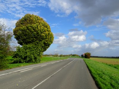 DSC00375 