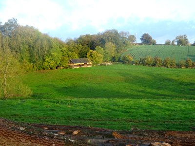 Grumes et prairies, Blainville-Crevon, Seine-Maritime 