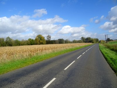 Champ de maïs entre Loeuilly et Nampty, Somme 
