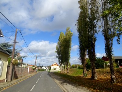 Entre Conty et Loeuilly, Somme 