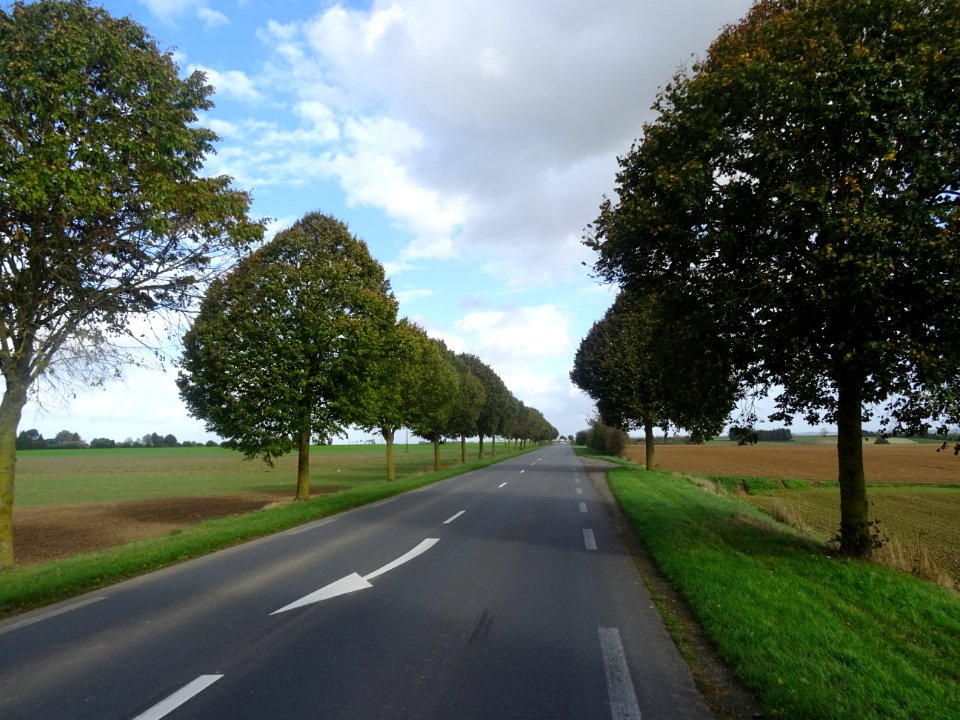 DSC00376 