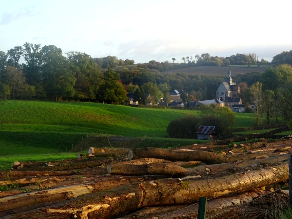 Grumes et prairies, Blainville-Crevon, Seine-Maritime 