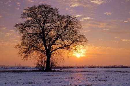 Winter colors snow