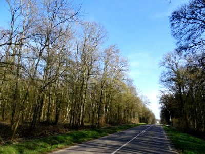 Sur la route entre Longuyon et Pierrepont, Meurthe-et-Mose… 