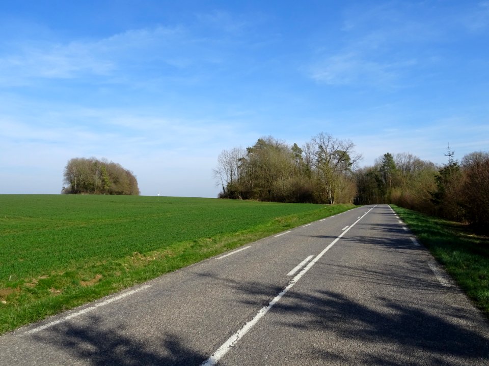 Sur la route entre Longuyon et Pierrepont, Meurthe-et-Mose… 
