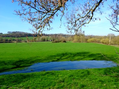 L'eau stagne dans les prairies, Petit Remilly, Ardennes 