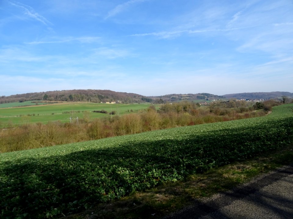 Sur la route vers Charency-Vezin, Meurthe-et-Moselle 