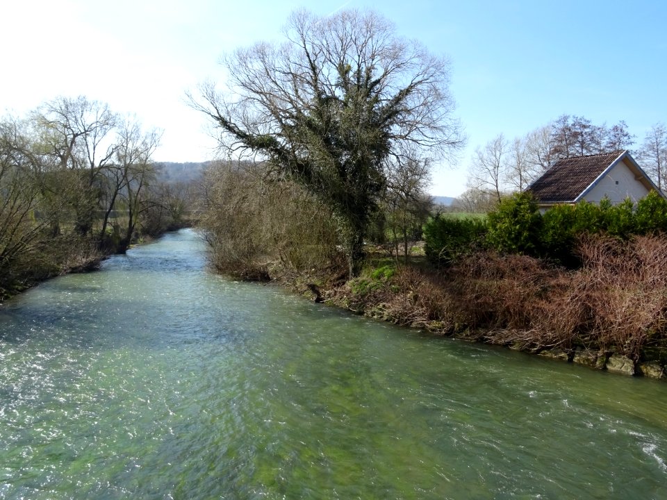 La rivière La Chiers, Charency-Vezin, Meurthe-et-Moselle 