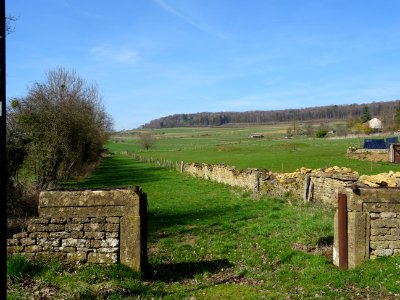 DSC04424 