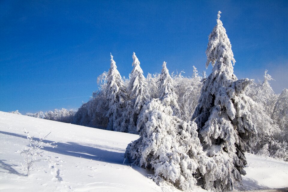 Hochrhoen wasserkuppe rhön winter