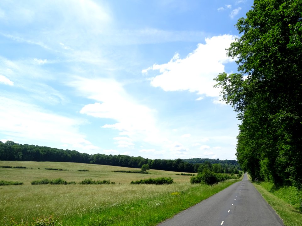 Entre la Charmoye et Montmort-Lucy, Marne 