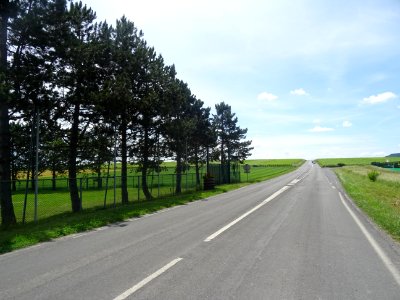 Sur la D9, cap au sud, tout droit pendant 5 km ... 