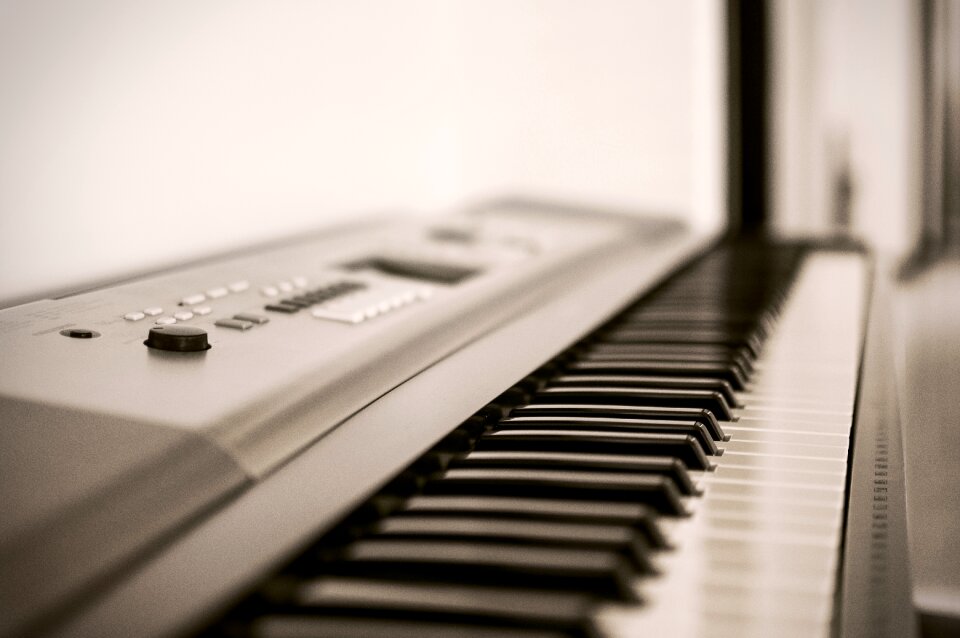 Instrument ivory keyboard