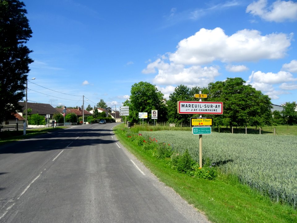 Mareuil-sur-Ay, Marne 
