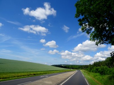 Sur la route entre Fontaine-sur-Ay et Avenay-Val-d'Or, Mar… 