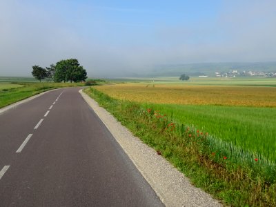 La route entre Bezannes et Sacy, Marne 