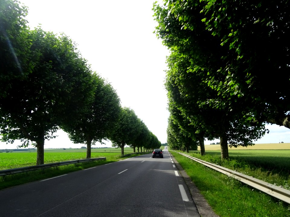 Sur la D619, très roulante, avant Sourdun, Seine-et-Marne 