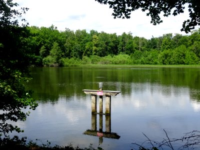 Etang de la Charmoye, dans la forêt de la Charmoye, avant … 