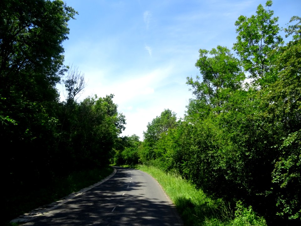 Entre Villers-aux-Bois et Chaltrait, Marne 