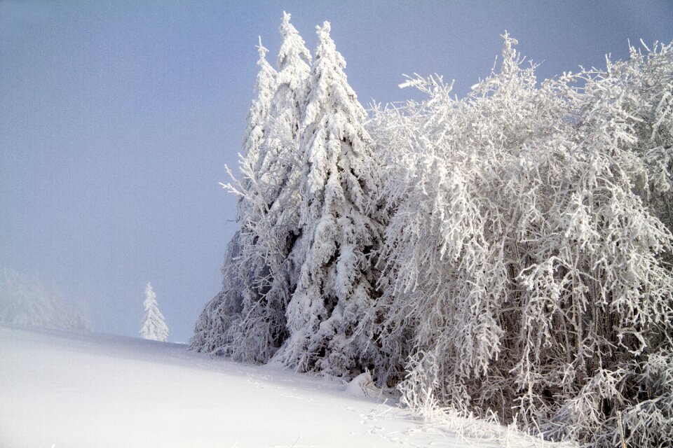 Hochrhoen wasserkuppe rhön winter