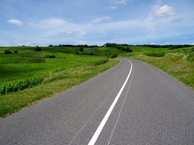 A travers les vignes, montée de Vertus vers le Grand Mont,… 