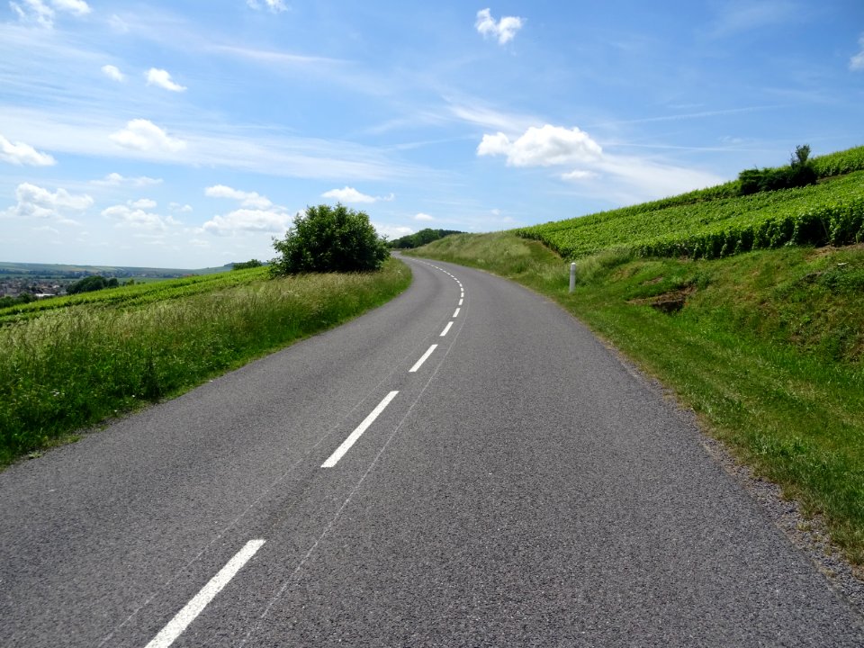 A travers les vignes, montée de Vertus vers le Grand Mont,… 