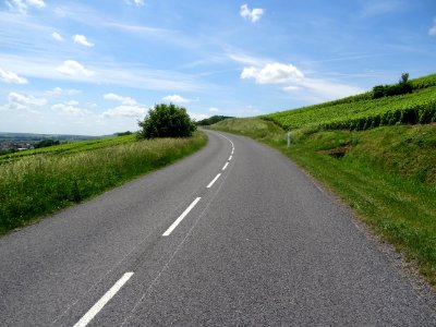A travers les vignes, montée de Vertus vers le Grand Mont,… 