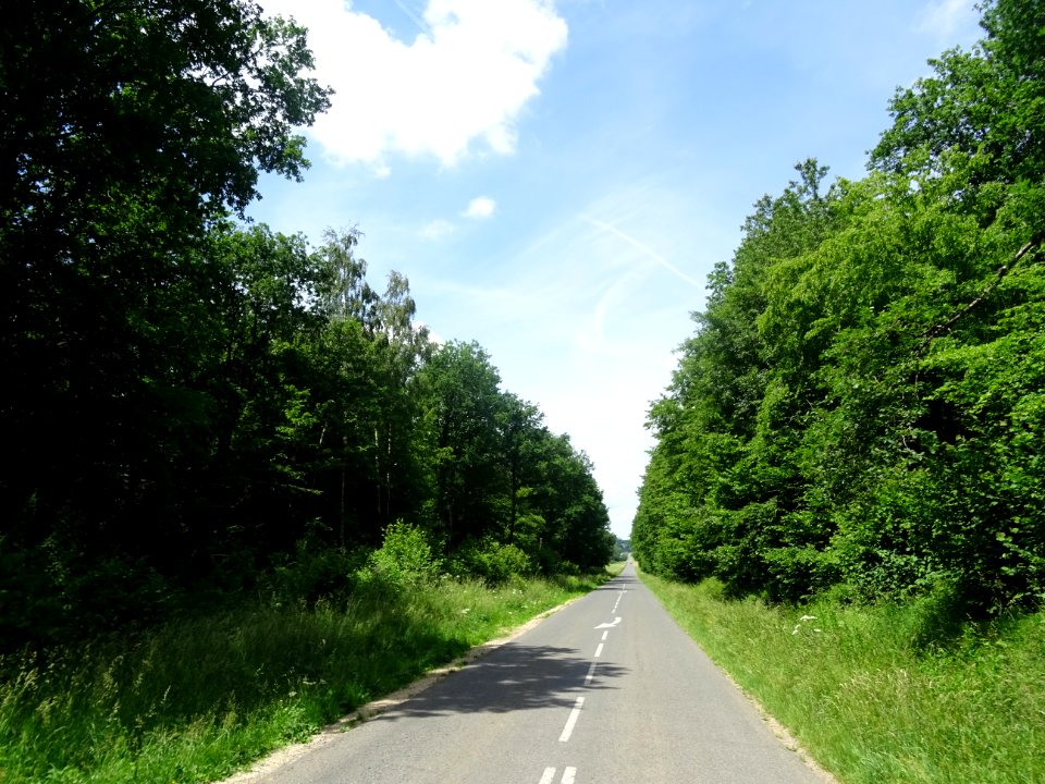 La petite route D36 entre Le Plessis et Villers-aux-Bois, … 