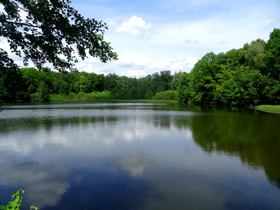 Etang de la Charmoye, dans la forêt de la Charmoye, avant … 